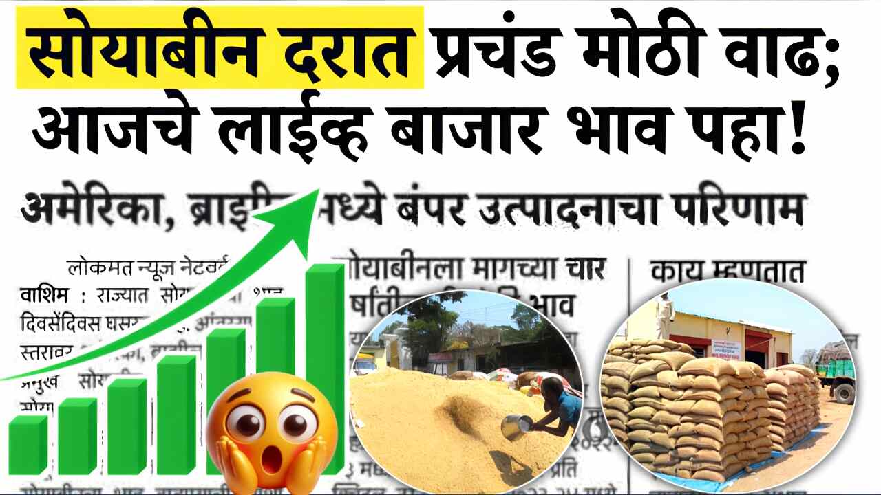 सोयाबीन भाव जोरात वाढले; येथे तब्बल 6000 रूपये भाव मिळतोय, लाईव्ह बाजार भाव पहा Soyabean Rate Today