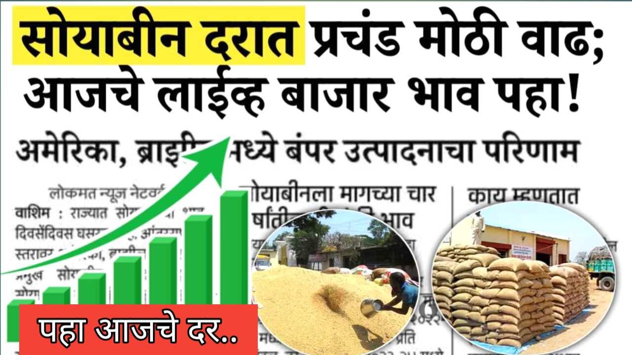 सोयाबीनच्या भावात मोठा बदल; यावर्षी दर कसे राहणार? लाईव्ह बाजार भाव पहा Soybean Rate Today