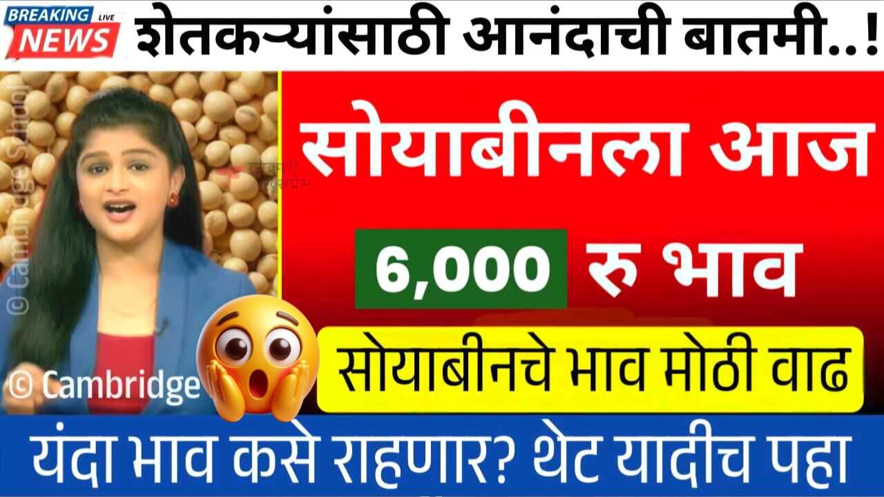 सोयाबीनच्या भावात प्रचंड मोठी वाढ झाली; भावात मोठा बदल! ‘येथे’ 6000 भाव मिळतोय Soyabean Market Price