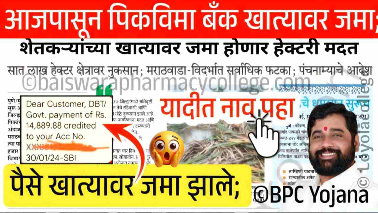 खरीप २०२४ पिक विमा शेतकऱ्यांच्या खात्यावर जमा; यादीत तुमचे नाव चेक करा! Kharip Crop Insurance List Update