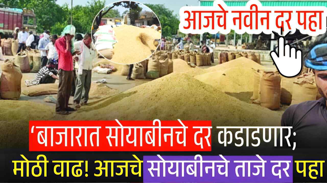 सोयाबीनच्या भावात मोठा बदल; आजचे लाईव्ह बाजार भाव येथे पहा Soyabean Rate Today